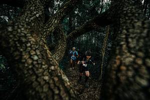 BIB: 
                            <button type="button" onclick="openModal(25679102)" class="btn btn-primary btn-sm float-right btn-popup" data-toggle="modal" data-target=".modal-high-quality">
                        <i class="fas fa-shopping-cart"></i> Add to Cart
                    </button>
                                            <button type="button" onclick="isThisMe(25679102, true)" class="btn btn-success btn-sm float-right btn-popup btn-isme hidden" data-toggle="tooltip" data-placement="bottom" title="นี่คือรูปของคุณใช่ไหม คลิกที่นี่เพื่อเอาเข้าอัลบั้ม">
                        <i class="fas fa-plus"></i> Add to album
                    </button>
                    <button type="button" onclick="isThisMe(25679102, false)" class="btn btn-warning btn-sm float-right btn-popup btn-isnotme hidden">
                        <i class="fas fa-ban"></i> Remove from album
                    </button>